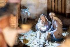 san-luis-bertran-san-esteban-vgutierrezVLC-20251230-47