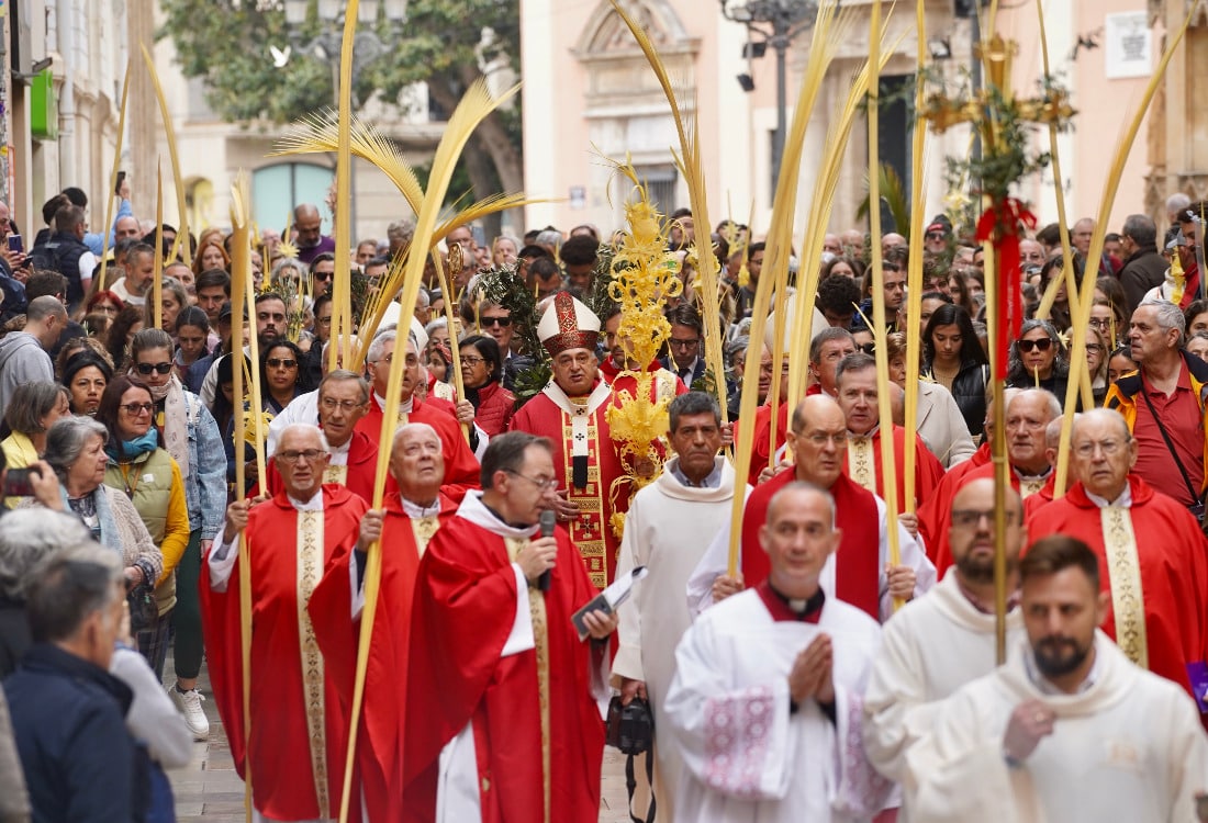 Domingo de Ramos en la Catedral